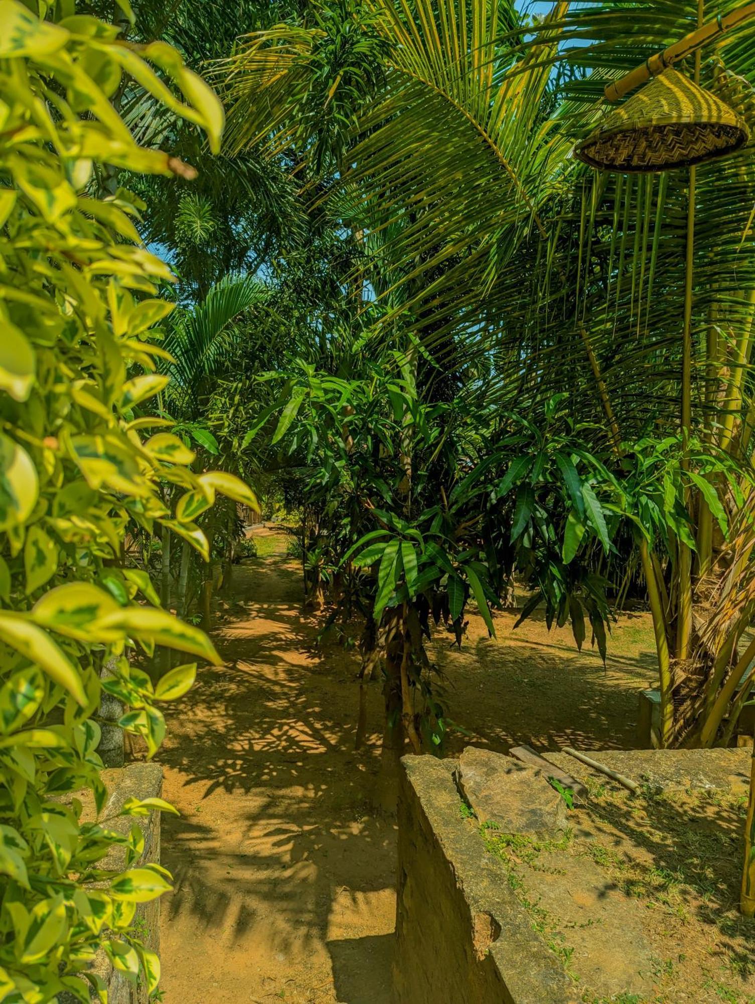 Southern Edge Cabanas Тангалле Екстер'єр фото